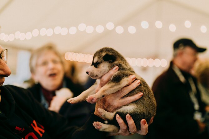 1.5-Hour Beer and Puppies Guided Experience in Fairbanks - Key points to know before booking
