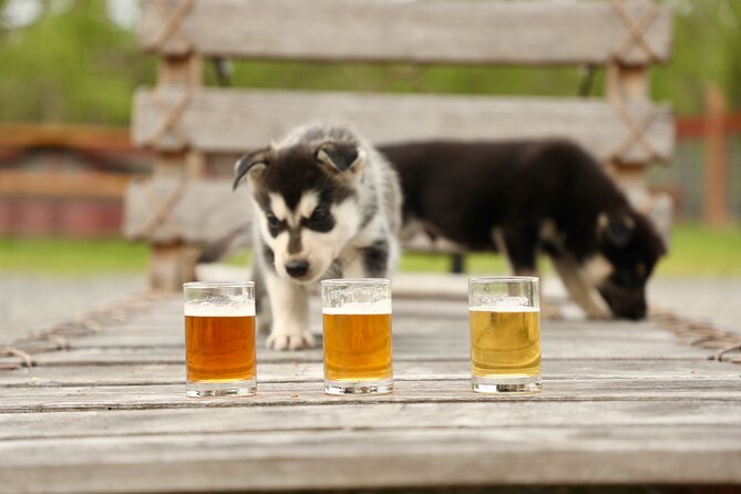 1.5-Hour Beer and Puppies Guided Experience in Fairbanks - A 5:30 pm start that fits a full Fairbanks day