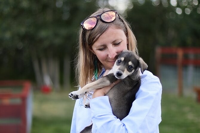 1.5-Hour Beer and Puppies Guided Experience in Fairbanks - Should you book this Fairbanks puppy and beer experience?