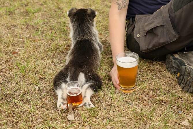 1.5-Hour Beer and Puppies Guided Experience in Fairbanks - What happens during the 90-minute visit