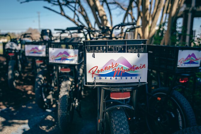 3-Hour E-Bike Sightseeing and Breweries Tour in Roanoke - Who should book this Roanoke e-bike tour?