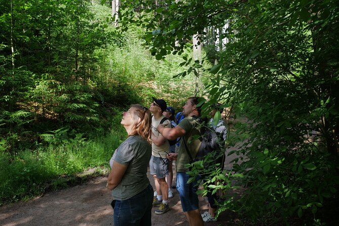 3 in 1 Tour Brewery & Castle in Bohemian Paradise Unesco Geopark - Hrubá Skála Castle and a castle-yard lunch