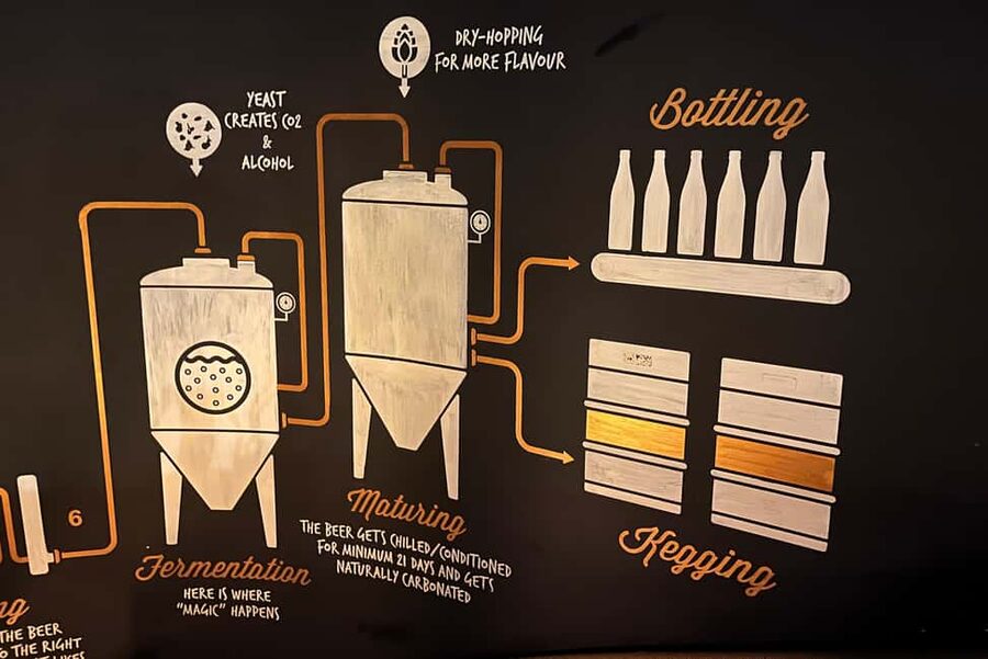 4 Craft Premium Beers Tasting with the Brewer - How the 1.5-Hour Schedule Works