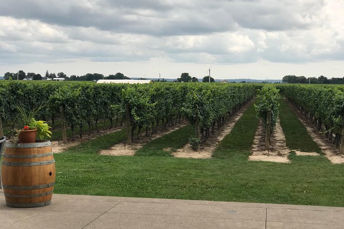 Afternoon Wine, Beer and Charcuterie Tour in Niagara-on-the-Lake - Pillitteri Estates and a family wine tradition