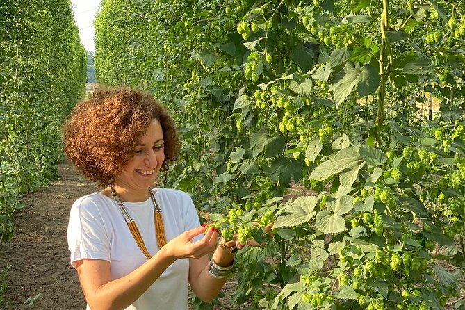 Agricultural Brewery Tour in the Roman Countryside - Seeing the barley and hops at Podere 676
