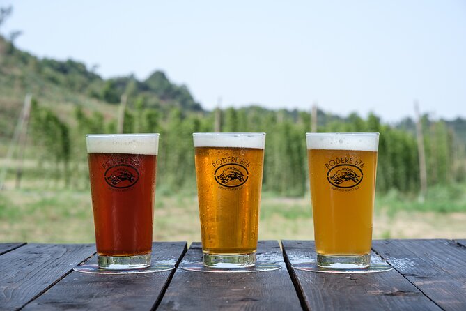 Agricultural Brewery Tour in the Roman Countryside - Timing, transport, and the meeting point