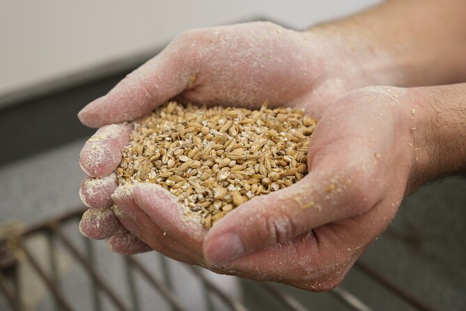 Agricultural Brewery Tour in the Roman Countryside - Inside the brewery, from cooking to bottling