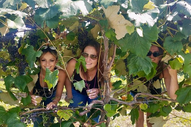 All Inclusive VIP Wine or Beer Tour in Hudson Valley - Value: what the all-inclusive label really covers