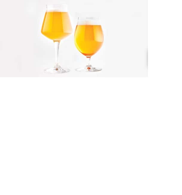 AMMOCHOSTOS VIP -Craft Brewery Tasting & Cypriot Food Trip - Is $164 a fair price?