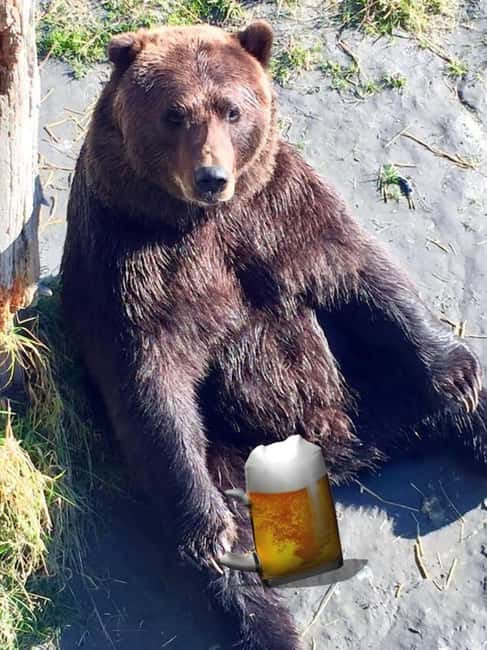 Anchorage: Bears, Beers, and Glacier Tour - Seasonal wildlife along the drive