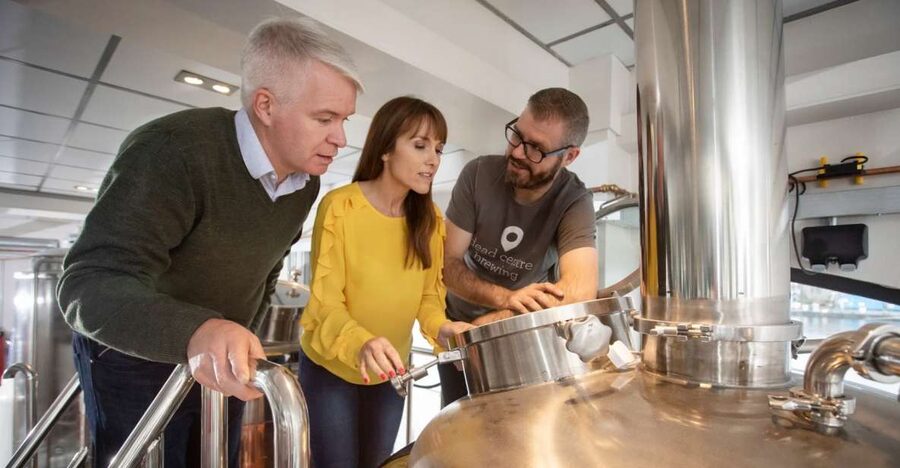 Athlone: Dead Centre Brewing Tour and Craft Beer Tasting - From Ingredients to the First Brew