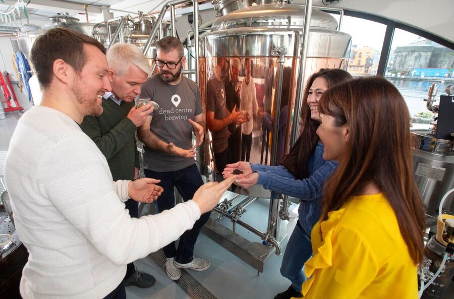 Athlone: Dead Centre Brewing Tour and Craft Beer Tasting - Brewing, Fermentation, and Packaging Explained