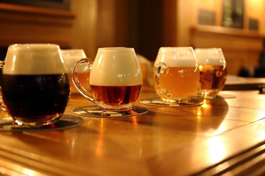 Austrian Beer Tasting and Self-Guided Tour of Vienna - What the beer history adds to the evening