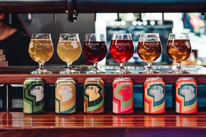 Barcelona Craft Beer Tour with a Brewery Tour and 3 Local Bars - Who will get the most from this beer tour