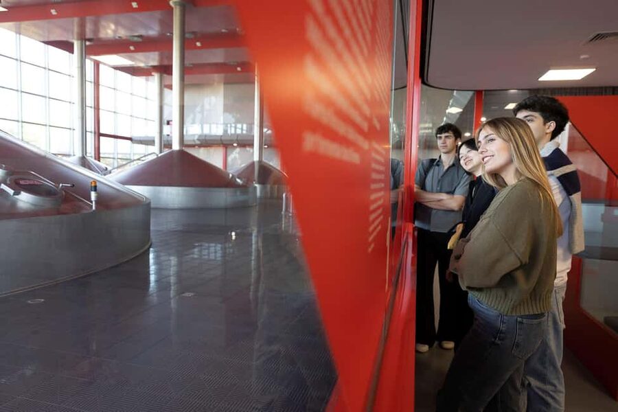Barcelona: Estrella Damm Brewery Guided Tour with Tasting - What the Estrella Damm Tour Actually Shows You
