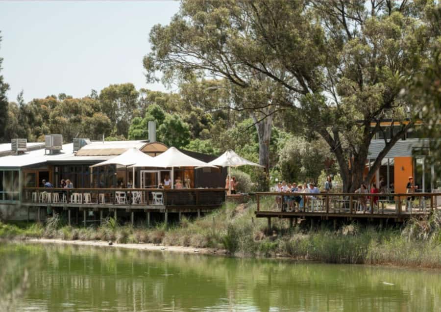 Barossa Valley: Maggie Beer's Wine Tasting & Cheese Platter - The dam view and the cheese platter