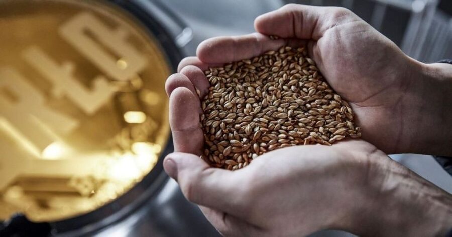 Berlin: BRLO BRWHOUSE Tour and Craft Beer Tasting - Price, timing, and what the $21 buys you
