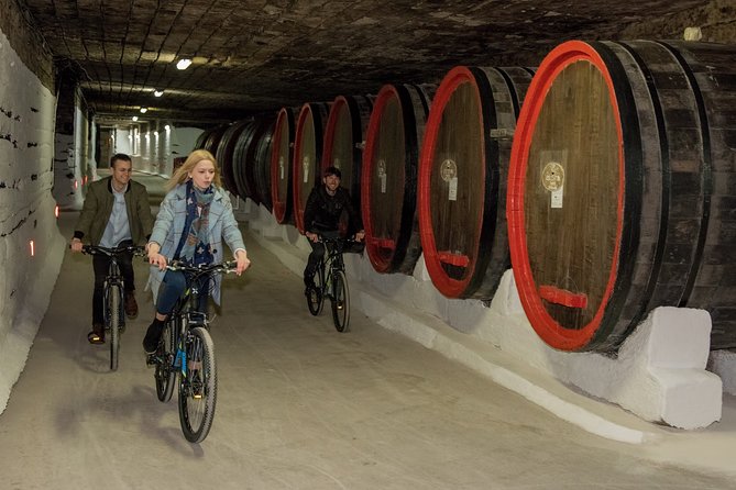 Biking a Guinness Book Winery - Cycling beneath Moldova’s vineyards