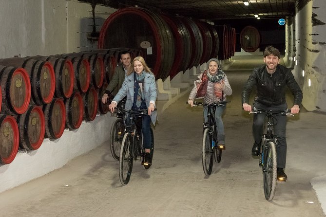 Biking a Guinness Book Winery - What the 5-kilometer route actually feels like