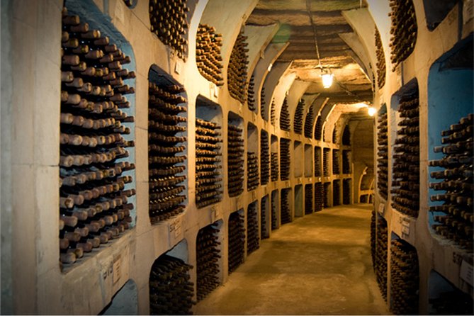 Biking a Guinness Book Winery - Morning or afternoon, with a short transfer