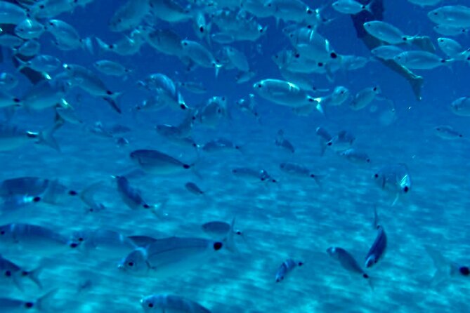 Boat Tour to Sella del Diavolo: Snorkeling, GoPro & Beer - Calamosca Beach and its old coastal landmarks