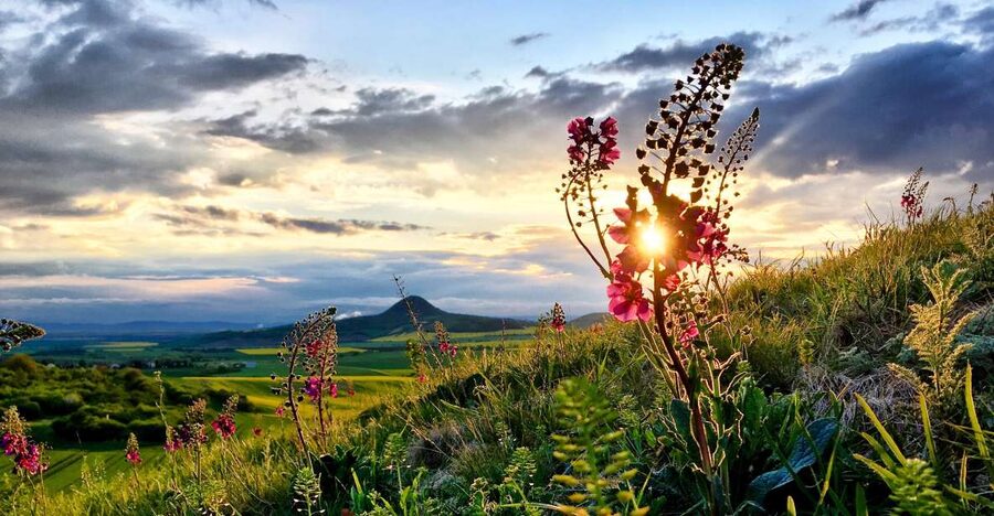 Bohemian Uplands: Garnet panning, Farm & Local Lunch&Beer - Lunch with four castles in view