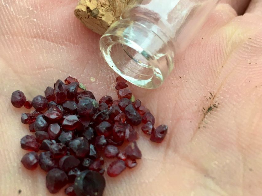 Bohemian Uplands: Garnet panning, Farm & Local Lunch&Beer - A farm visit with cheese, cows, and cats