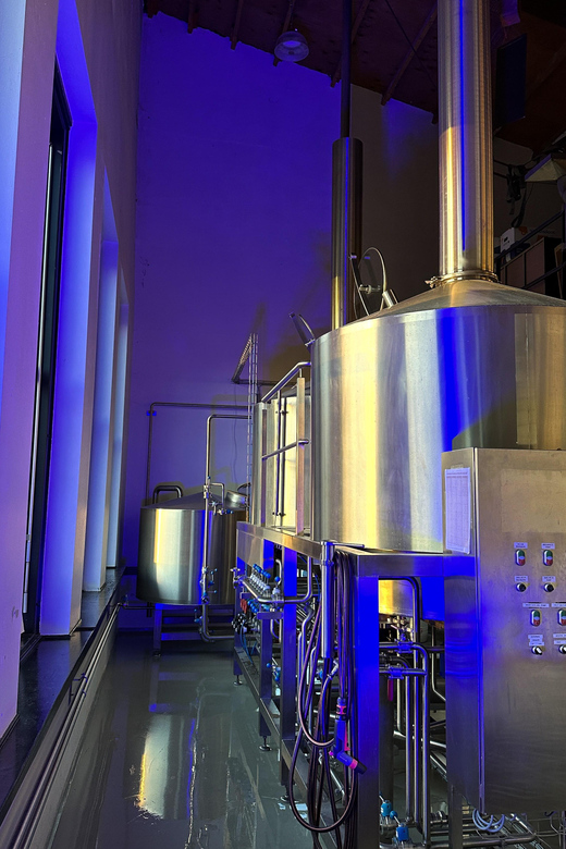 Breugem Brewery: Beer tasting - Key points to know before you book