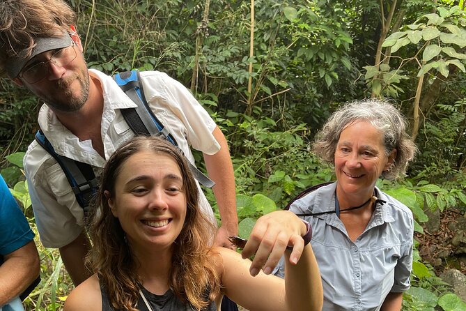 Brewers Bay Eco Hiking Tour - The pineapple field and a real lesson in cultivation