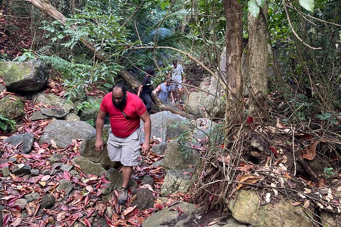 Brewers Bay Eco Hiking Tour - Leaving the trail for a rocky stream bed
