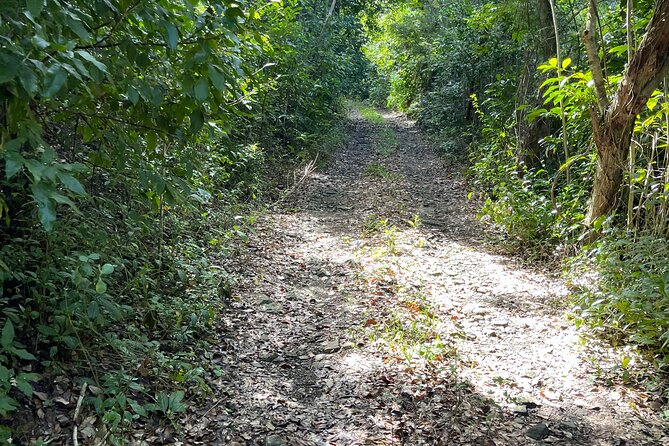 Brewers Bay Eco Hiking Tour - What the $80 price covers