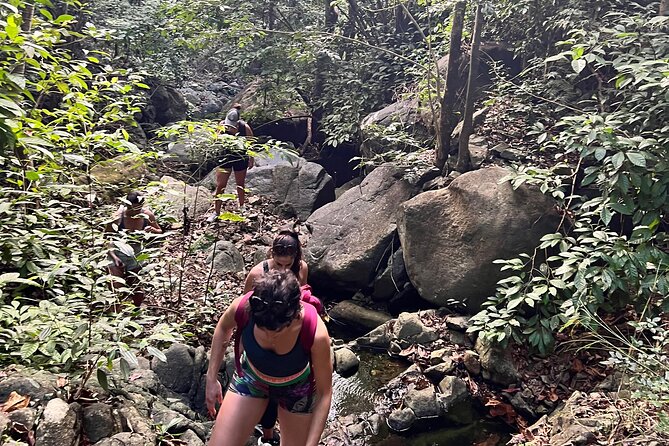 Brewers Bay Eco Hiking Tour - Who should book this Brewers Bay hike