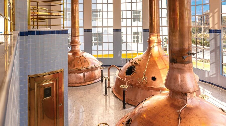 Brewery Experience with Beer Tasting and Optional Transport - The rooftop is more than a tasting counter