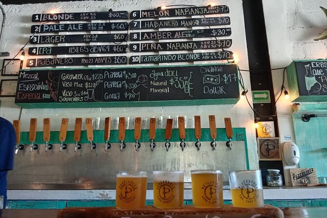 Brewery Tour / Craft Beer Tasting Cancun Mexico - What the included drinks and snacks are worth