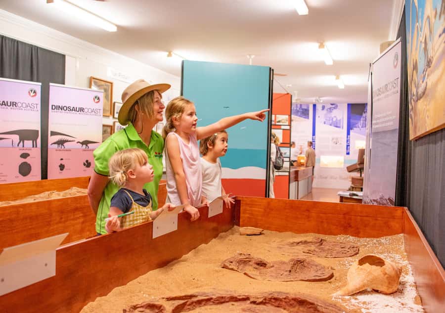 Broome: Matso's Brewery, Museum & Crocodile Park Combo Tour - Malcolm Douglas Crocodile Park: the afternoon’s big finish