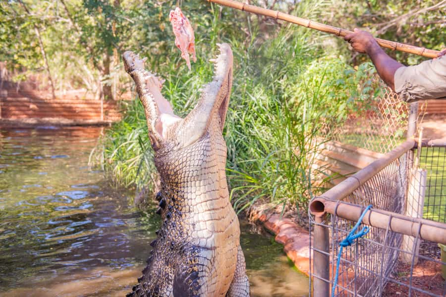 Broome: Matso's Brewery, Museum & Crocodile Park Combo Tour - Broome Museum: a cool look at a hard-edged town