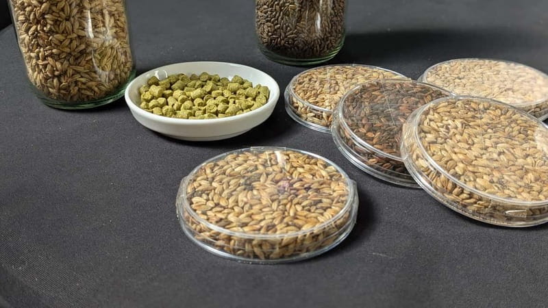 Brussels: micro brewery & distillery tour + beer tasting - Key points before you book