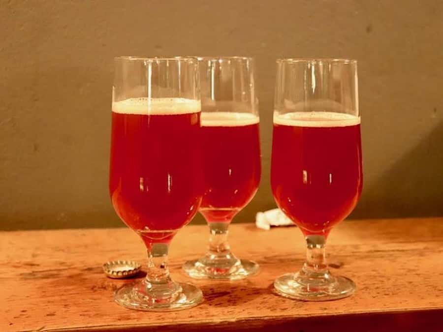 Buenos Aires: Craft Beer Adventure in Colegiales - Walking, access, and practical comfort