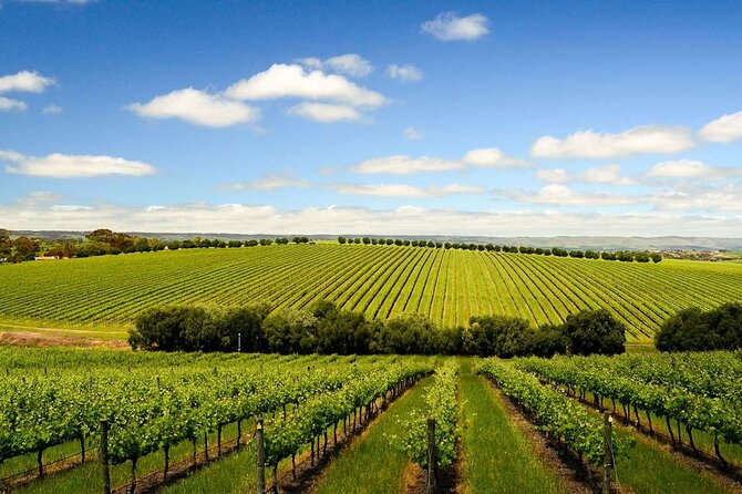 Build your own Unique Private Winery/Brewery Tour at the Margaret River region - The scenery between tastings