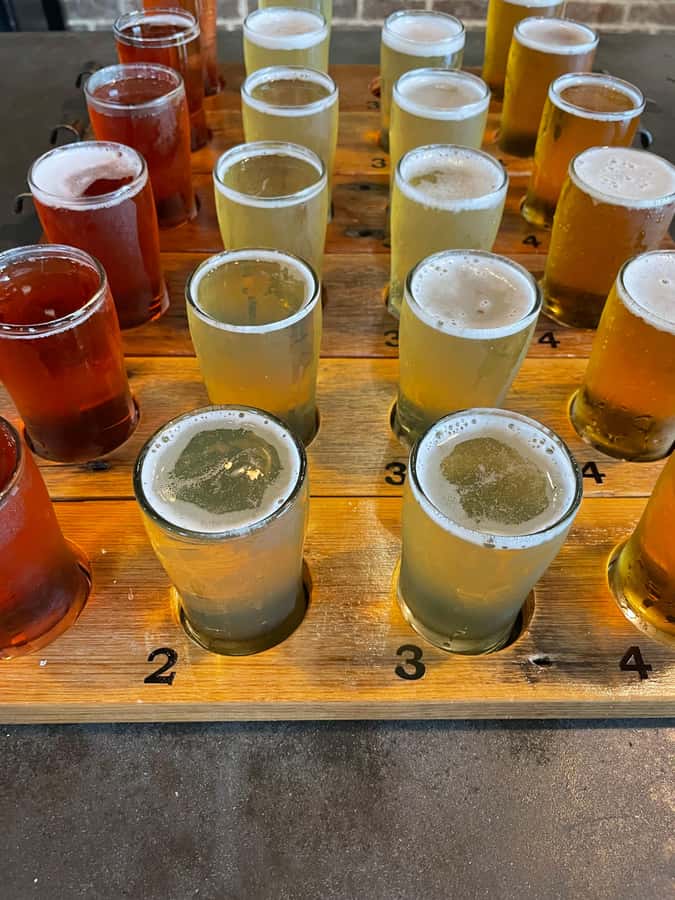 Byron Bay Brewery and Distillery Day Tour: Lunch & tastings - Who should book this brewery and distillery day?