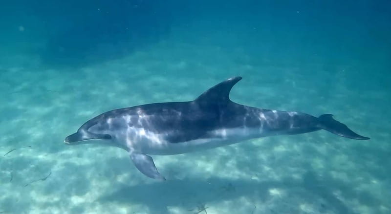 Cagliari: Private Boat Tour with Snorkeling & Beer - Marina Piccola closes the route with flexible time