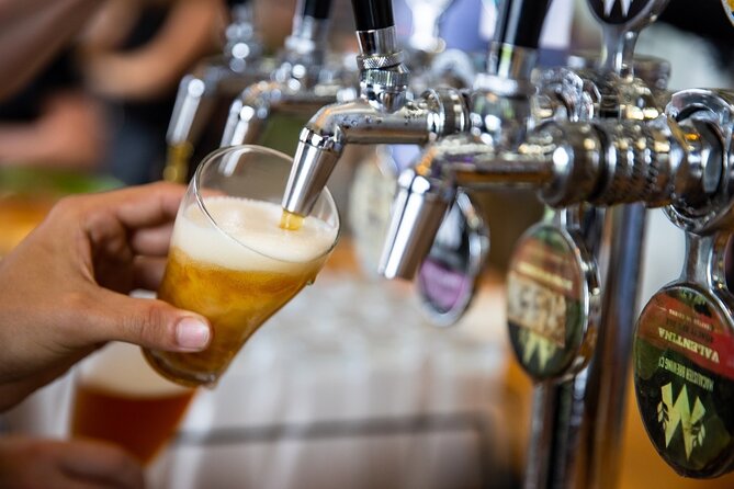 Cairns Brewery Tours - Macalister Brewing offers the clearest behind-the-scenes visit