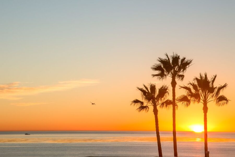 California Sunset Brewery Tour - From downtown San Diego to the beach