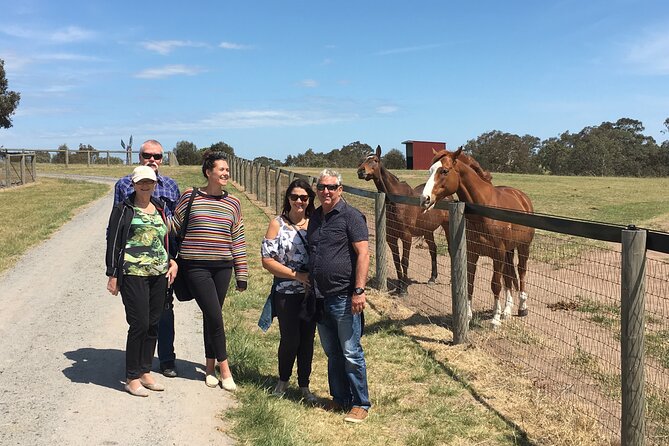 Champion Racehorse Tour with Beer and Wine Tasting - Wine tasting near Hanging Rock