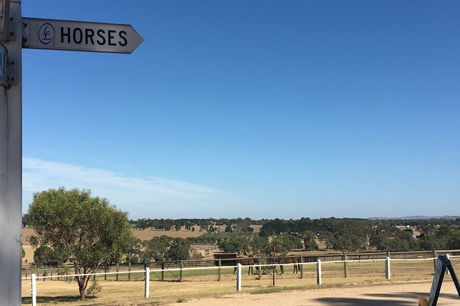 Champion Racehorse Tour with Beer and Wine Tasting - Who will enjoy this day most