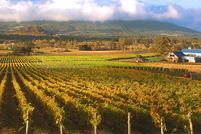 Champion Racehorse Tour with Beer and Wine Tasting - Meeting the champions at Living Legends