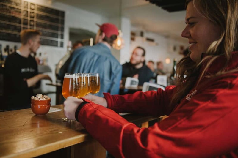 Copenhagen: Small Group Neighborhood Tour with Beer & Pubs - What the $66 price really covers