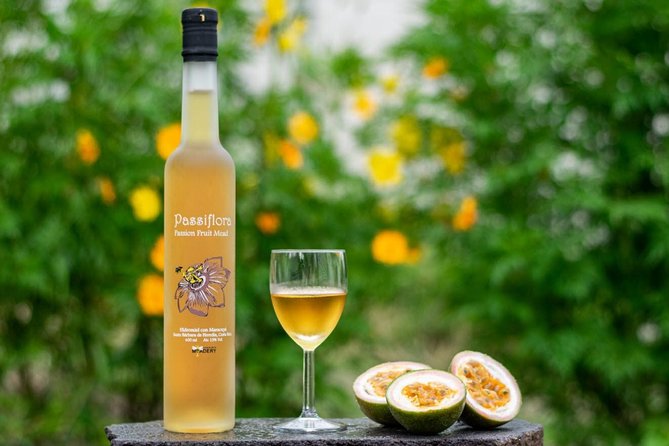Costa Rica Central Valley Wine, Beer, and Mead Tour and Tasting - Key points to know before booking