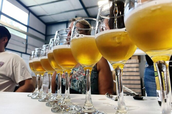 Costa Rica Central Valley Wine, Beer, and Mead Tour and Tasting - Why this small Central Valley tour is worth your time
