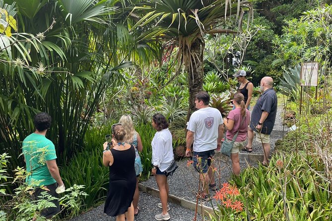 Costa Rica Central Valley Wine, Beer, and Mead Tour and Tasting - Walking conditions and what to wear